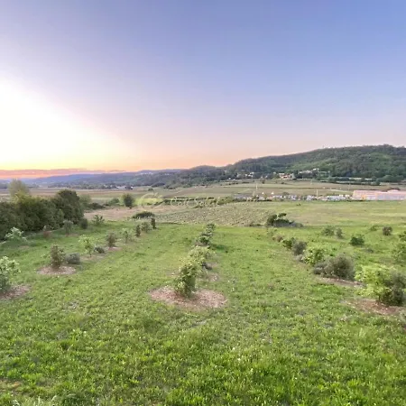 别墅 Romana 科尔尼永